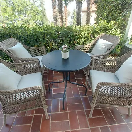 Premium Punta Kolova *