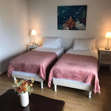 Apartment Premium Punta Kolova