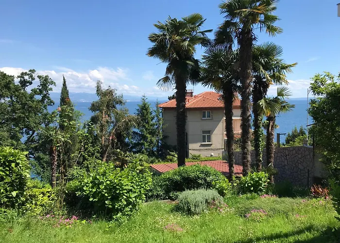 Apartment Premium Punta Kolova *