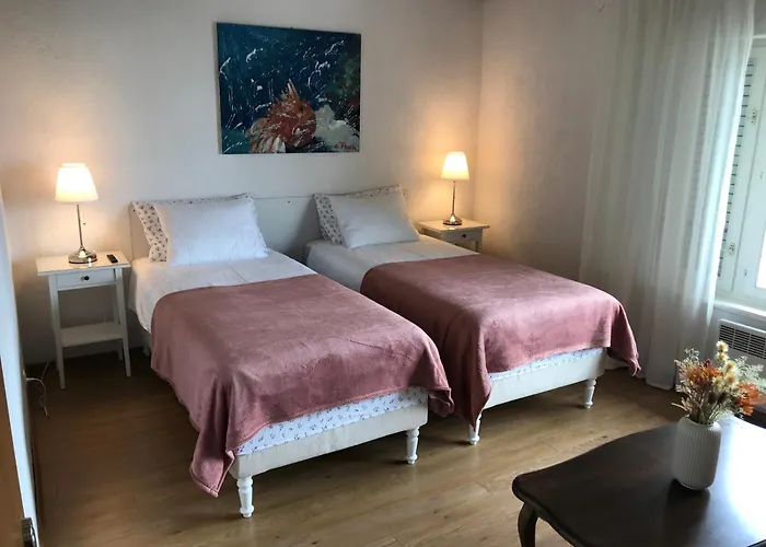 Apartment Premium Punta Kolova